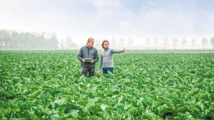 Syngenta και Heritable Agriculture ενώνουν τις δυνάμεις τους