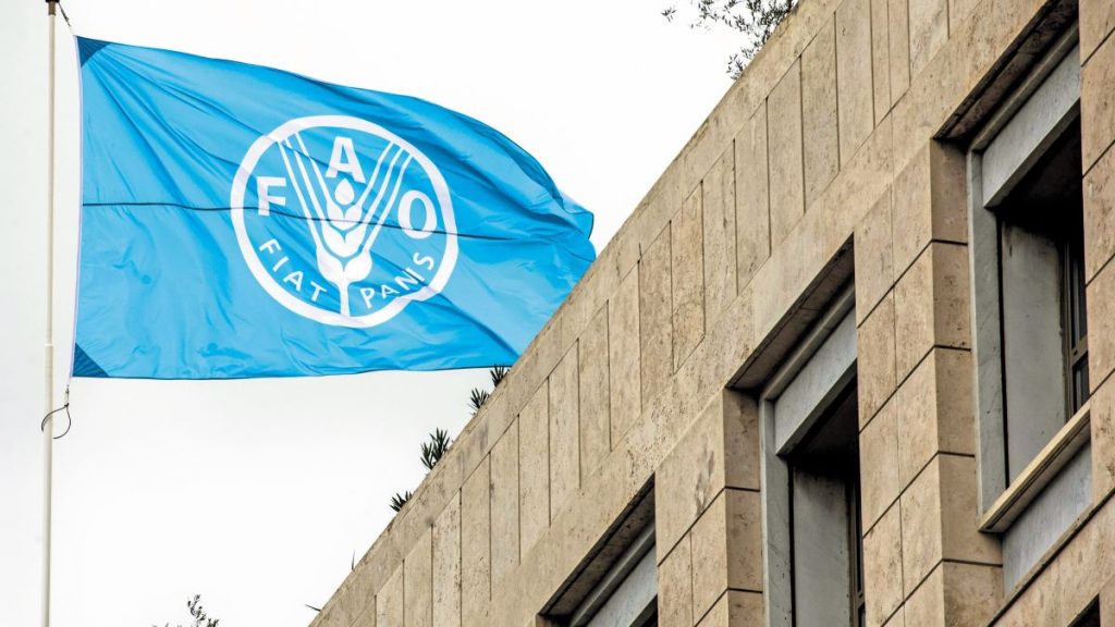 FAO: Πτώση στις διεθνείς τιμές των τροφίμων τον Σεπτέμβριο