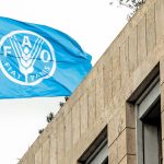 FAO: Πτώση στις διεθνείς τιμές των τροφίμων τον Σεπτέμβριο