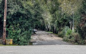 Φοινικούντα: Στο πλάνο των ερευνών λευκό αυτοκίνητο - Την Κυριακή απολογούνται οι 22χρονοι