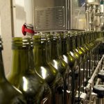 Ελαίας Καρπός