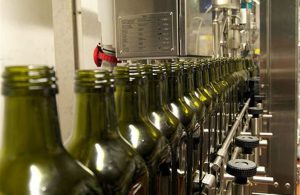 Ελαίας Καρπός