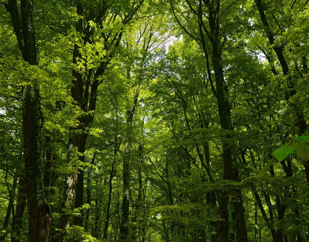 Γέλασε όλο το ίντερνετ με το απρόσμενο συμβάν στην άγρια φύση της Κένυας!