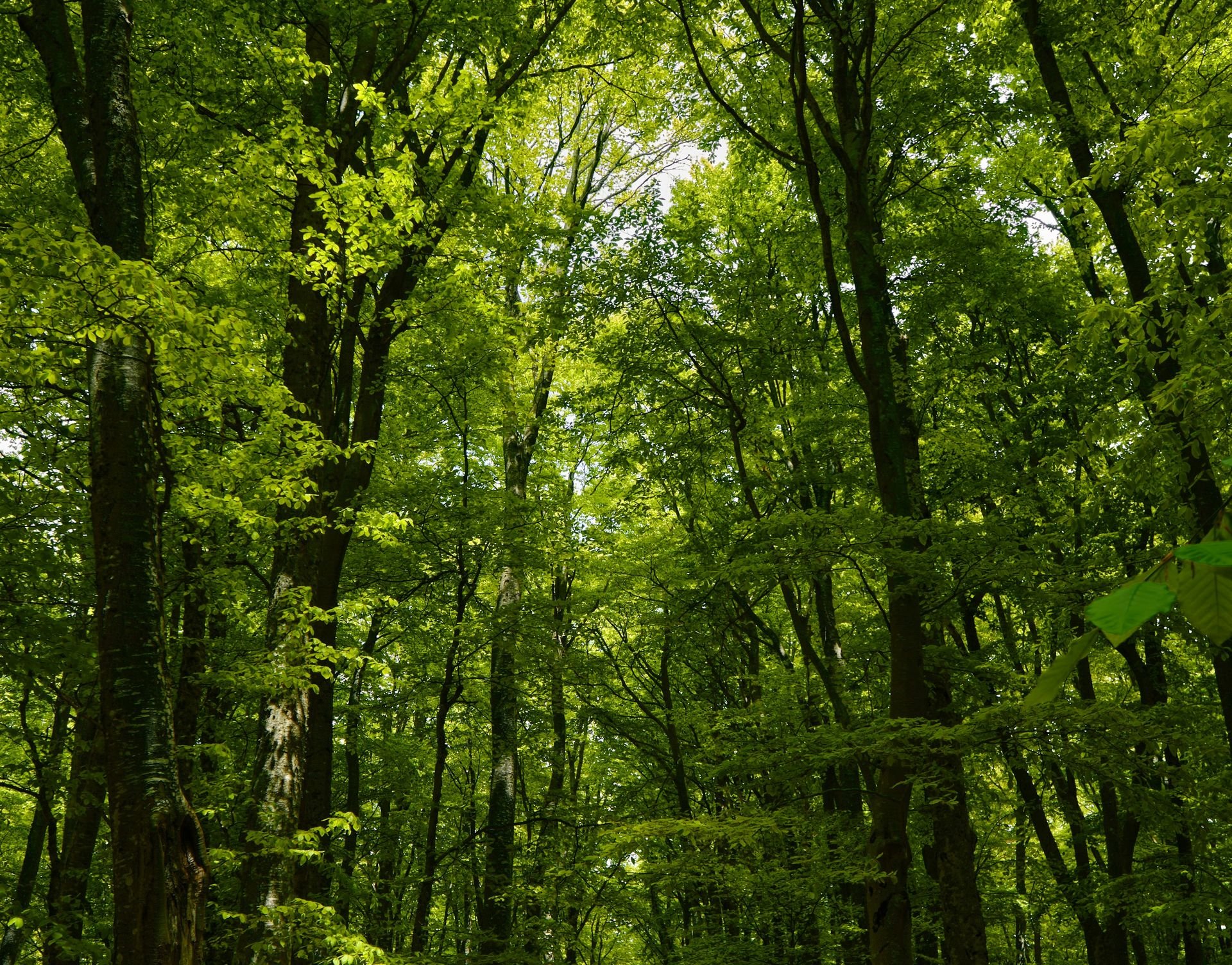 Γέλασε όλο το ίντερνετ με το απρόσμενο συμβάν στην άγρια φύση της Κένυας!