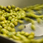 Μυκοτοξίνες και ποιότητα ελαιολάδου