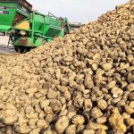 Η τευτλοκαλλιέργεια στην Αμερική σε κρίση