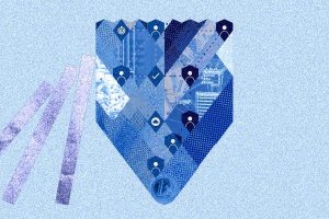 in focus fraud prevention0olaf apati