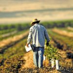 EU CAP Network: Καλές πρακτικές για την κοινωνική συμβολή των αγροτών εκτός χωραφιού