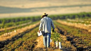 EU CAP Network: Καλές πρακτικές για την κοινωνική συμβολή των αγροτών εκτός χωραφιού