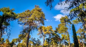 Γενικά αίθριος καιρός - Πού θα πέσουν λίγες βροχές