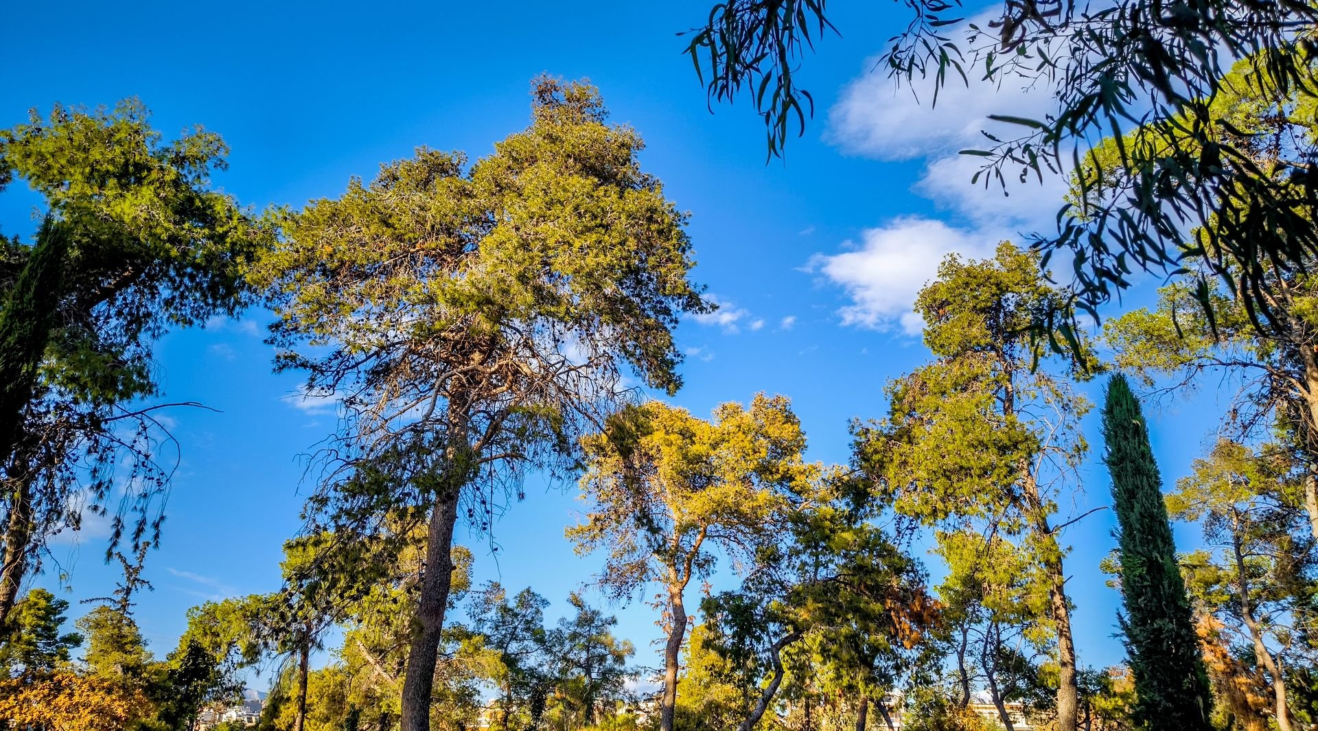 Γενικά αίθριος καιρός - Πού θα πέσουν λίγες βροχές