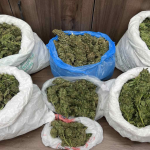 Τέσσερις συλλήψεις στο Ρέθυμνο για ναρκωτικά και δενδρύλλια κάνναβης – Μεταξύ τους και ένας ανήλικος