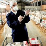 epikindyna-ta-emvolia-kata-tis-evlogias-pou-bainoun-paranoma-sti-chora-lene-oi-eidikoi-167517