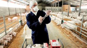 epikindyna-ta-emvolia-kata-tis-evlogias-pou-bainoun-paranoma-sti-chora-lene-oi-eidikoi-167517