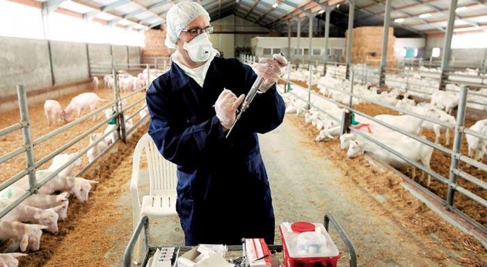 epikindyna-ta-emvolia-kata-tis-evlogias-pou-bainoun-paranoma-sti-chora-lene-oi-eidikoi-167517