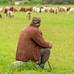 Αγνοείται κτηνοτρόφος μετά από κρούσμα ευλογιάς στο κοπάδι του