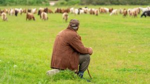 Αγνοείται κτηνοτρόφος μετά από κρούσμα ευλογιάς στο κοπάδι του