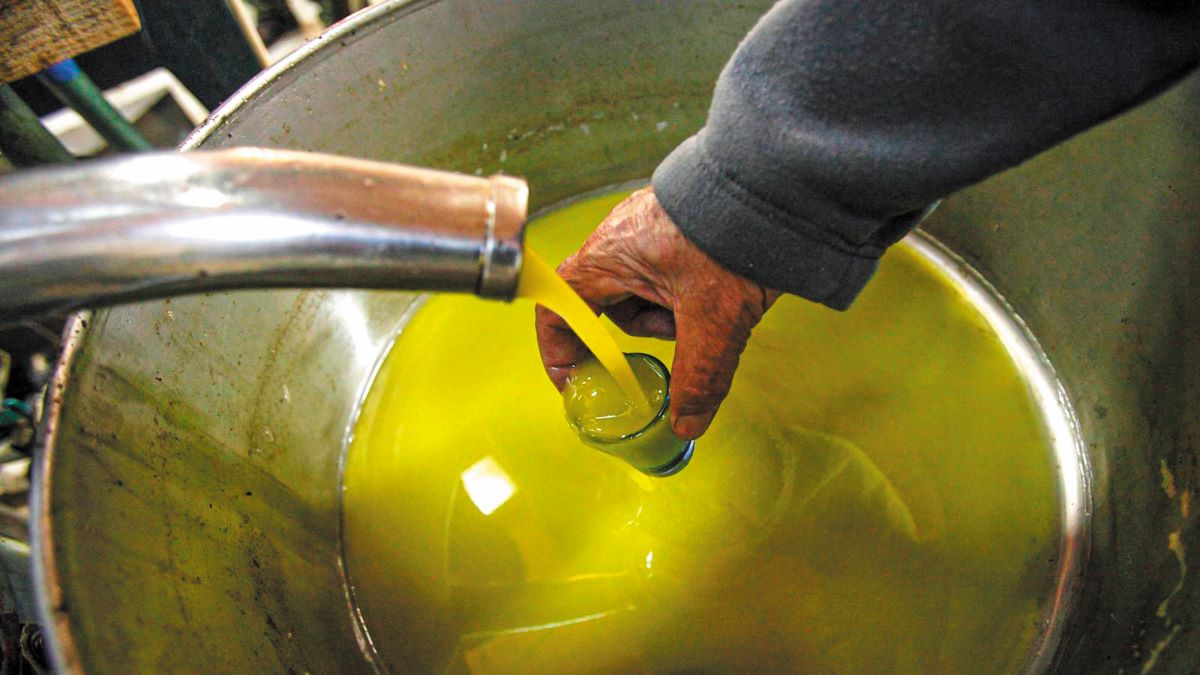 Ελαιόλαδο: Στα 4,5-5 ευρώ εκτιμώνται οι πρώτες πράξεις για τη νέα σοδειά του έξτρα παρθένου