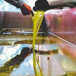 Ο χάρτης της παγκόσμιας ελαιοπαραγωγής