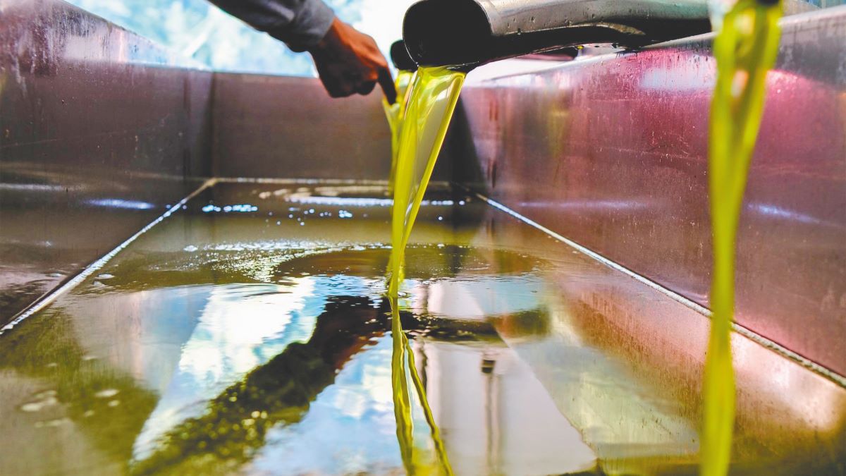 Ο χάρτης της παγκόσμιας ελαιοπαραγωγής