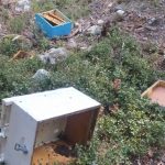 Σέρρες: Αρκούδα καταστρέφει μελίσσια στη Χρυσοπηγή (βίντεο)