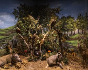 Το Μουσείο Φυσικής Ιστορίας και Μανιταριών σπάει ρεκόρ βραβεύσεων