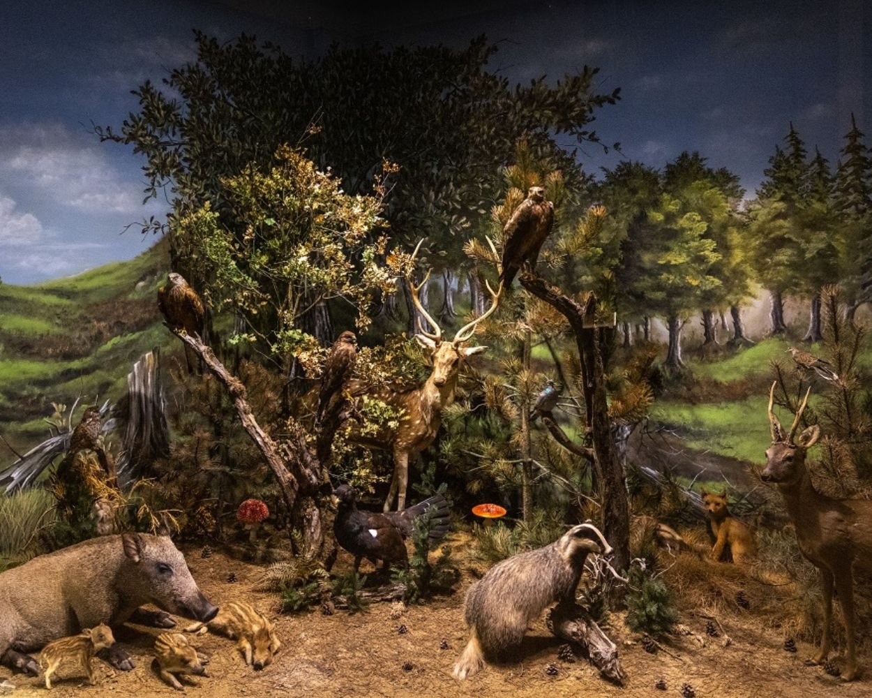 Το Μουσείο Φυσικής Ιστορίας και Μανιταριών σπάει ρεκόρ βραβεύσεων