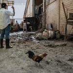 Φονικές πλημμύρες στο Μεξικό: Στους 76 οι νεκροί, άλλοι 27 άνθρωποι αγνοούνται