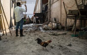 Φονικές πλημμύρες στο Μεξικό: Στους 76 οι νεκροί, άλλοι 27 άνθρωποι αγνοούνται