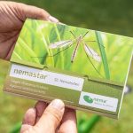 Στοχευμένες λύσεις εντομοπαθογόνων νηματωδών από Andermatt Anthesis για αντιμετώπιση ξυλοφάγων εντόμων