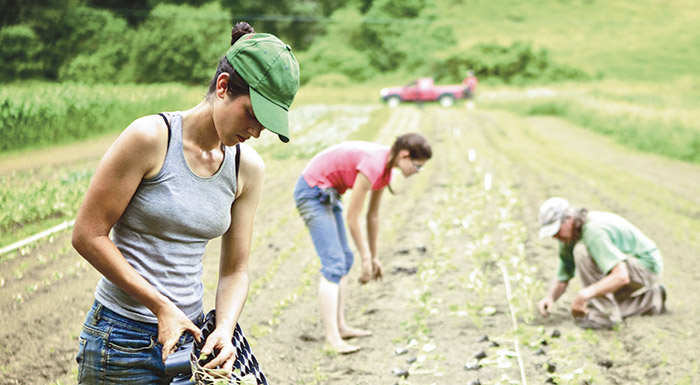 imerida-gia-tin-gynaika-agrotisssa-apo-to-parartima-anatolikis-stereas-elladas-tou-geotechnikou-epimelitiriou-elladas-242149