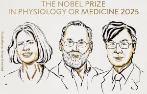 Οι επιστήμονες Μπράνκοου, Ράμσντελ και Σακαγκούτσι τιμήθηκαν με το Νόμπελ Ιατρικής