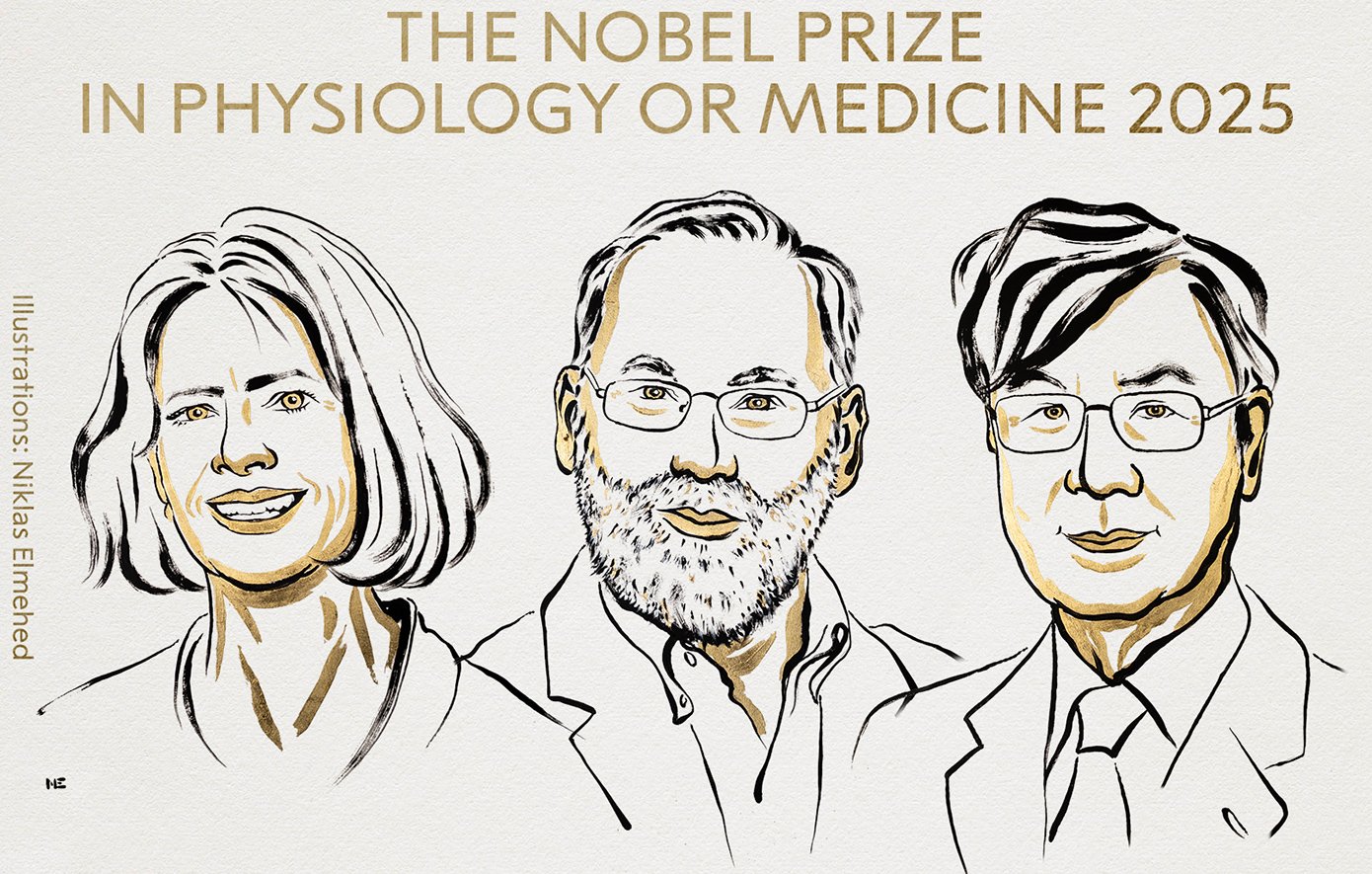 Οι επιστήμονες Μπράνκοου, Ράμσντελ και Σακαγκούτσι τιμήθηκαν με το Νόμπελ Ιατρικής