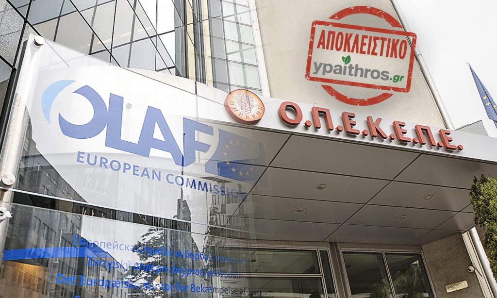 Η απάντηση της OLAF στο ypaithros.gr – Τι σηματοδοτεί η παρουσία της στον ΟΠΕΚΕΠΕ