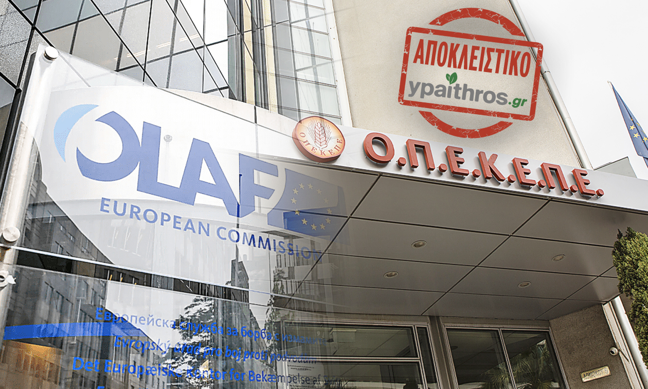Η απάντηση της OLAF στο ypaithros.gr – Τι σηματοδοτεί η παρουσία της στον ΟΠΕΚΕΠΕ