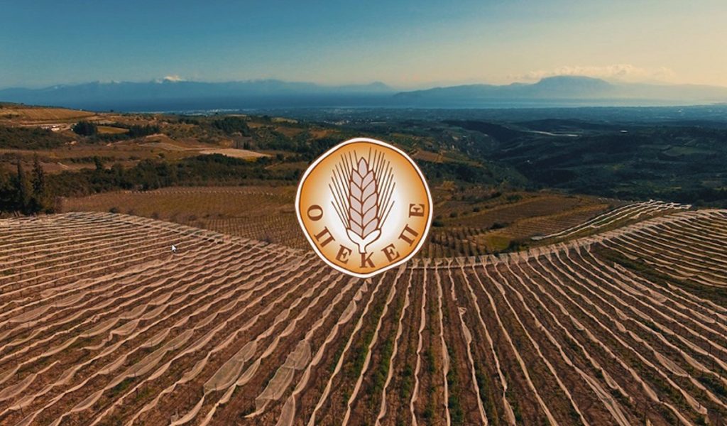 ΟΠΕΚΕΠΕ: Ξεκίνησε η υποβολή υπεύθυνων δηλώσεων για de minimis σε ζωοτροφές και φερτά υλικά