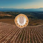 ΟΠΕΚΕΠΕ: Ξεκίνησε η υποβολή υπεύθυνων δηλώσεων για de minimis σε ζωοτροφές και φερτά υλικά