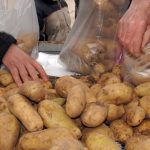 Η ΕΑΣ Νάξου επιστρατεύει την τεχνολογία κατά της νοθείας της ΠΟΠ πατάτας του νησιού - Fresher