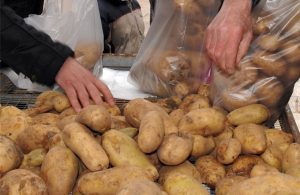 Η ΕΑΣ Νάξου επιστρατεύει την τεχνολογία κατά της νοθείας της ΠΟΠ πατάτας του νησιού - Fresher