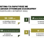 Ελαίας Καρπός