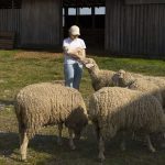 Οι τρεις λόγοι που η Ελλάδα θανατώνει λόγω ευλογιάς και δεν επιλέγει φυσική ανοσία - Τυροκόμος