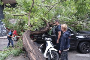 Η ανακοίνωση του Δήμου Αθηναίων για το δέντρο που έπεσε στην Μπενάκη