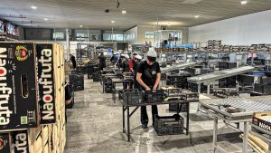 ACN: Από τη Μακεδονία στις παγκόσμιες αγορές, με αιχμή του δόρατος το επιτραπέζιο ροδάκινο