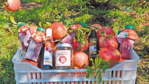 Αργολίδα: Συνεχίζεται, παρά τις αντιξοότητες, η παραγωγή ροδιού στην Ερμιονίδα