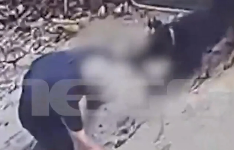 Ανατριχιαστικό βίντεο με το ροτβάιλερ να κατασπαράζει τον ιδιοκτήτη του στη Καλαμάτα