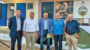 Ηλεία: Με επιτυχία η 1η Γιορτή Ελιάς και Ελαιολάδου στο Γεράκι Ήλιδας