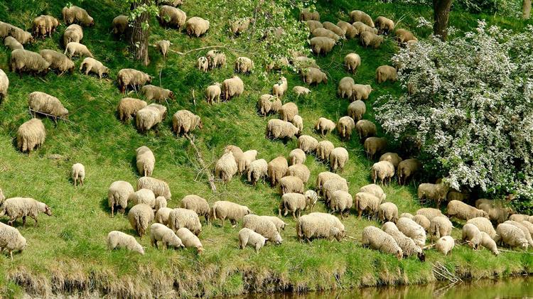 Πέντε ύποπτα κρούσματα ευλογιάς σε μονάδες του Βόλου μέσα σε δύο ημέρες