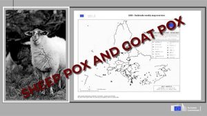 Ευλογιά: Η Ελλάδα αντιμέτωπη με τον χειρότερο εφιάλτη