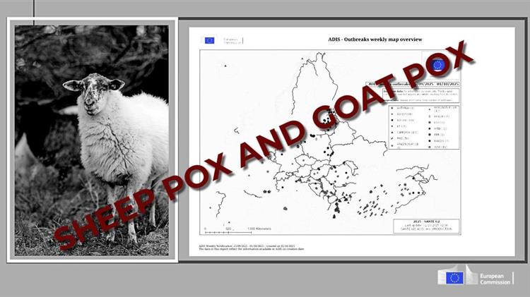 Ευλογιά: Η Ελλάδα αντιμέτωπη με τον χειρότερο εφιάλτη
