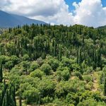 ΕΕ: Προς αναβολή ο κανονισμός για την αποψίλωση των δασών;